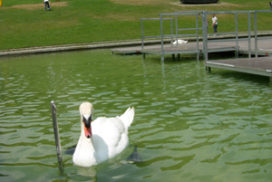 parc de catalunya